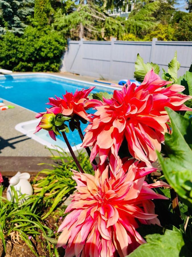 Nanaimo Garden House With Pool Hotel Ruang foto